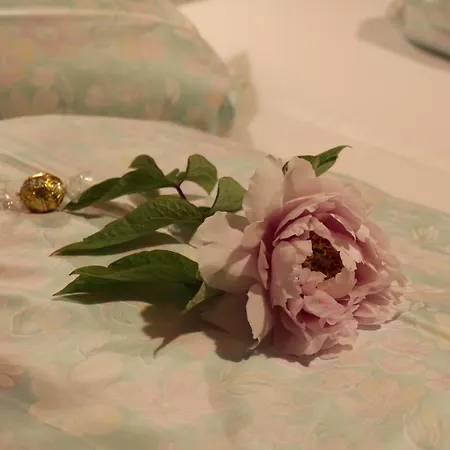 Hehenberger Fogadó Wallsee