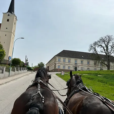 Hehenberger * Wallsee