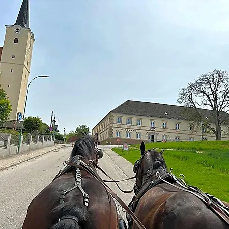 Herberg Hehenberger