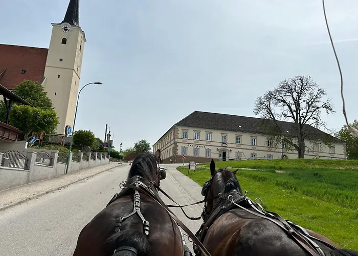 Hehenberger * Wallsee